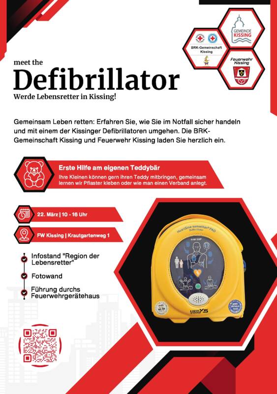 Flyer Meet the Defibrillator